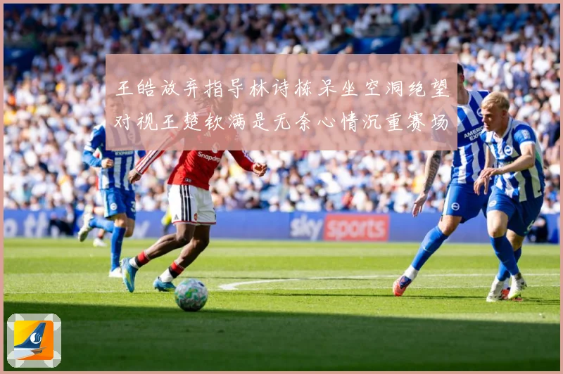 王皓放弃指导林诗栋呆坐空洞绝望对视王楚钦满是无奈心情沉重赛场解读