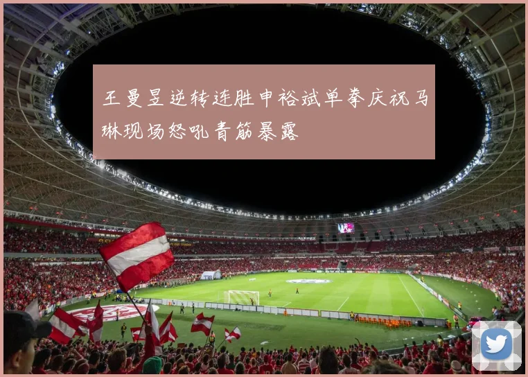 王曼昱逆转连胜申裕斌单拳庆祝马琳现场怒吼青筋暴露