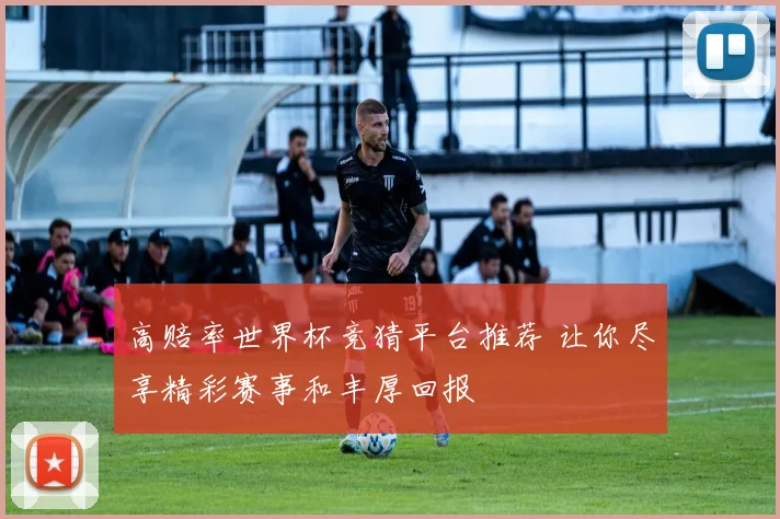 高赔率世界杯竞猜平台推荐 让你尽享精彩赛事和丰厚回报